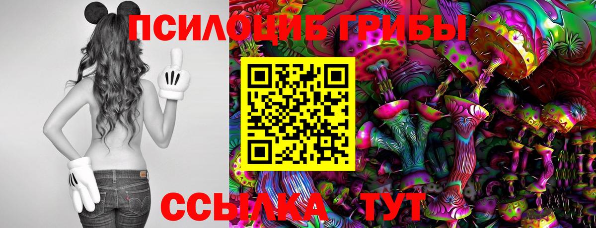 Псилоцибиновые грибы Magic Shrooms  Вход с VPN  Гатчина  Псилоцибиновые грибы GOLDEN TEACHER 