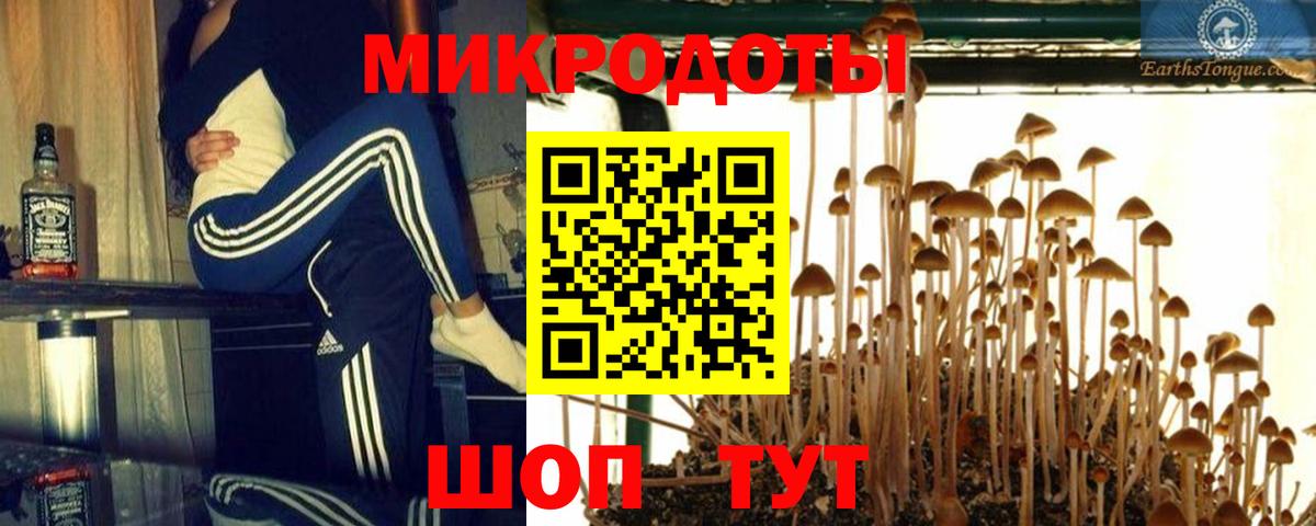 Псилоцибиновые грибы Magic Shrooms Гатчина