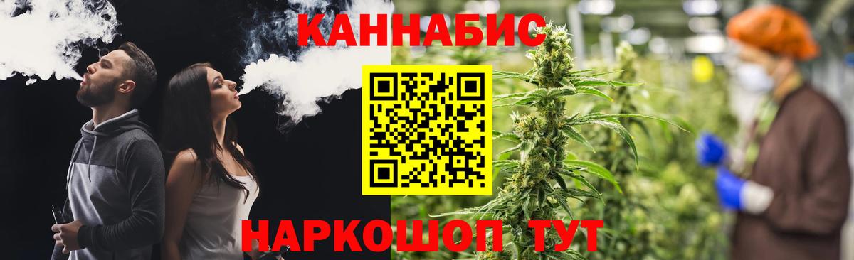 Бошки Шишки Гатчина